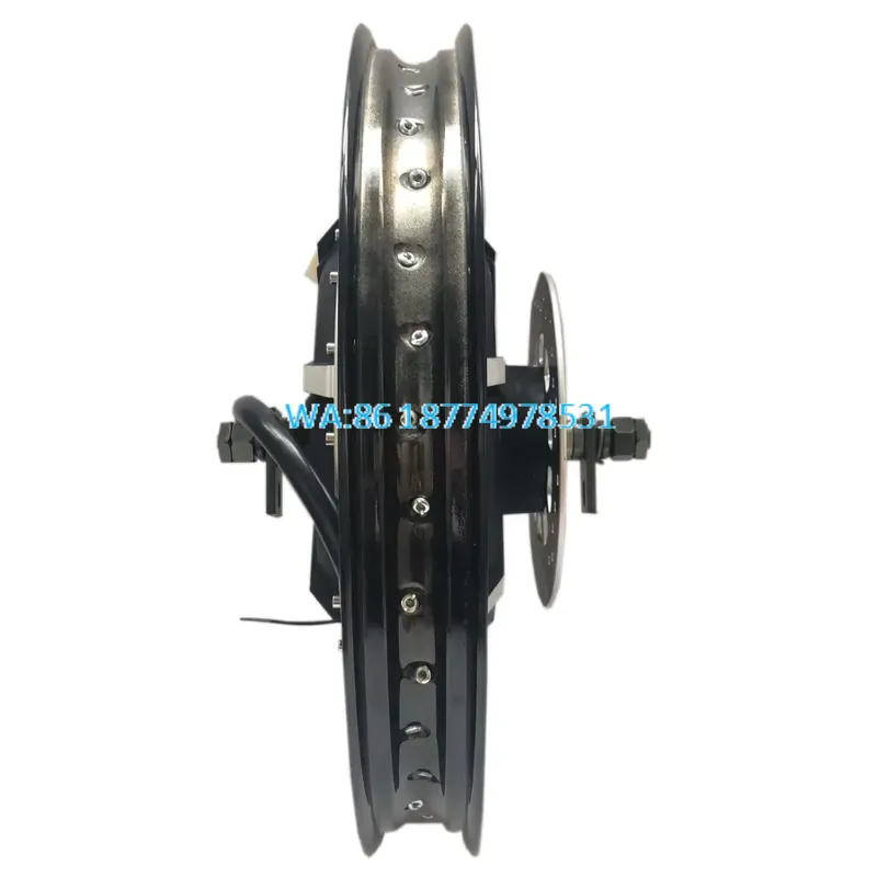 Wmwmnu voor QS 273 50H V3 8000 - Qs Motor 273 8000W Hub Motor recensie en prijs