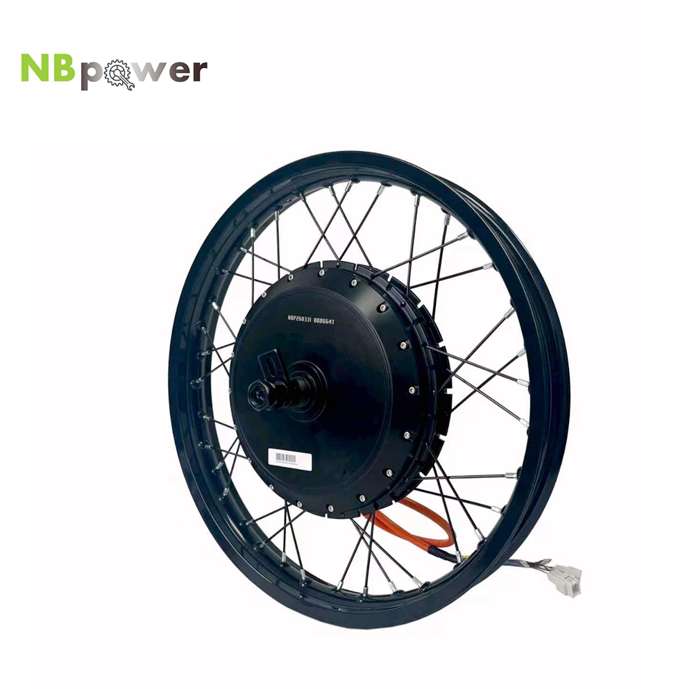 NBpower/170mm Dropout QS 273 4 - Qs Motor 273 8000W Hub Motor recensie en prijs
