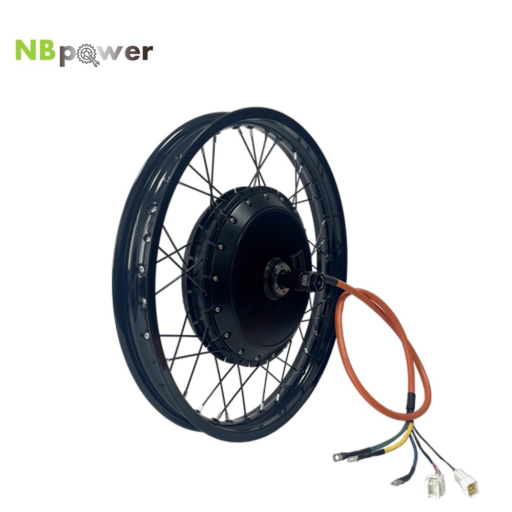NBpower/170mm Dropout QS 273 4 - Qs Motor 273 8000W Hub Motor recensie en prijs